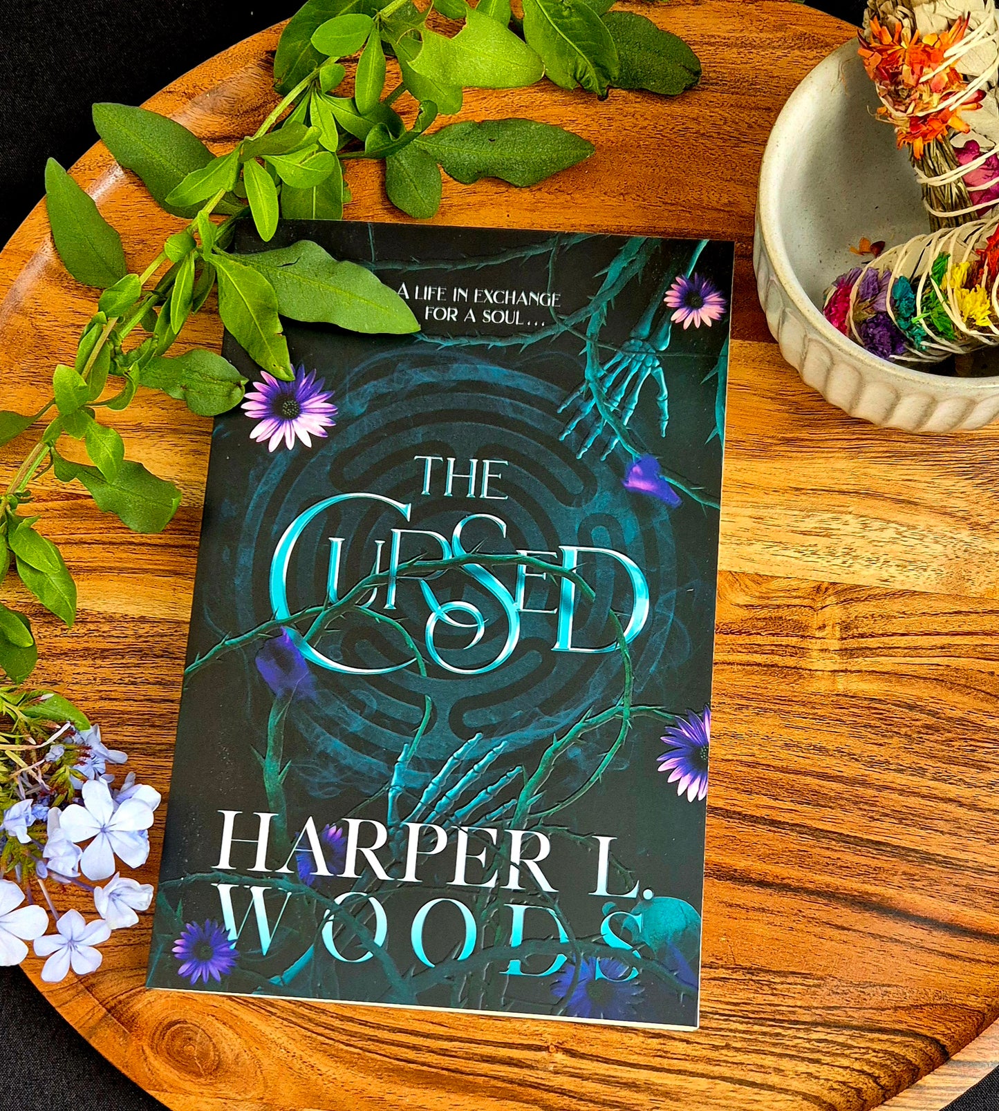 The Coven of Bones Series