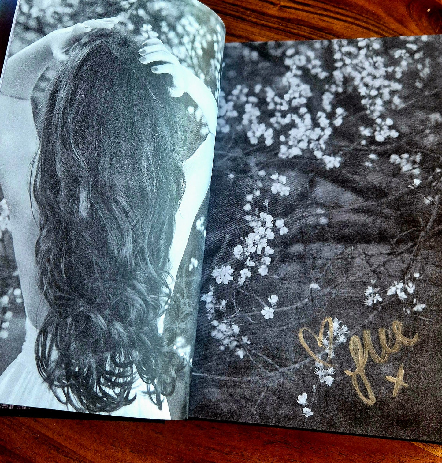 The Silvia Saga Omnibus Special Edition