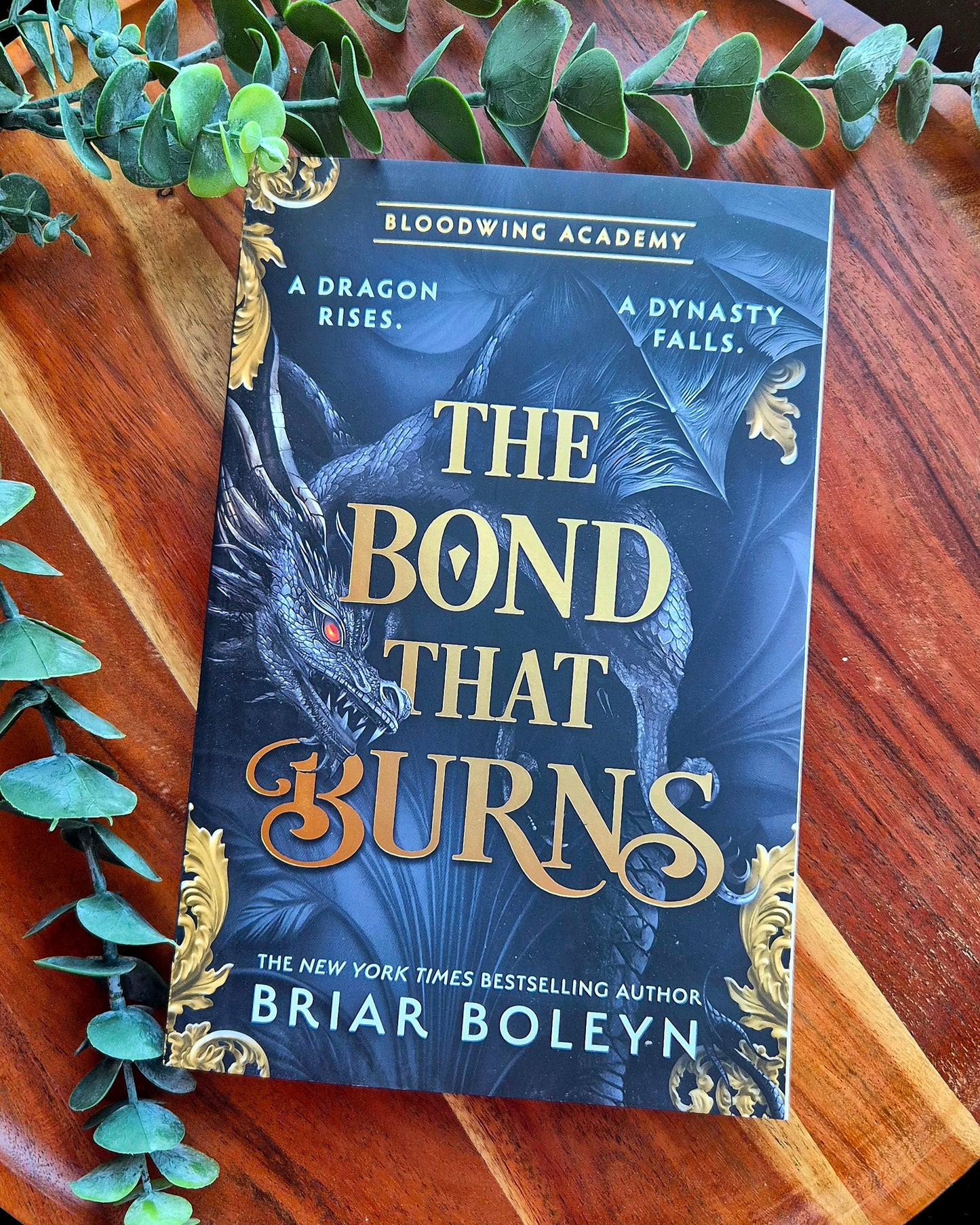 Bloodwing Academy Series