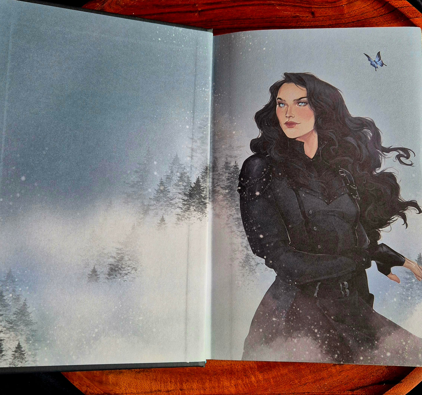Quicksilver - Deluxe Limited Edition Hardcover