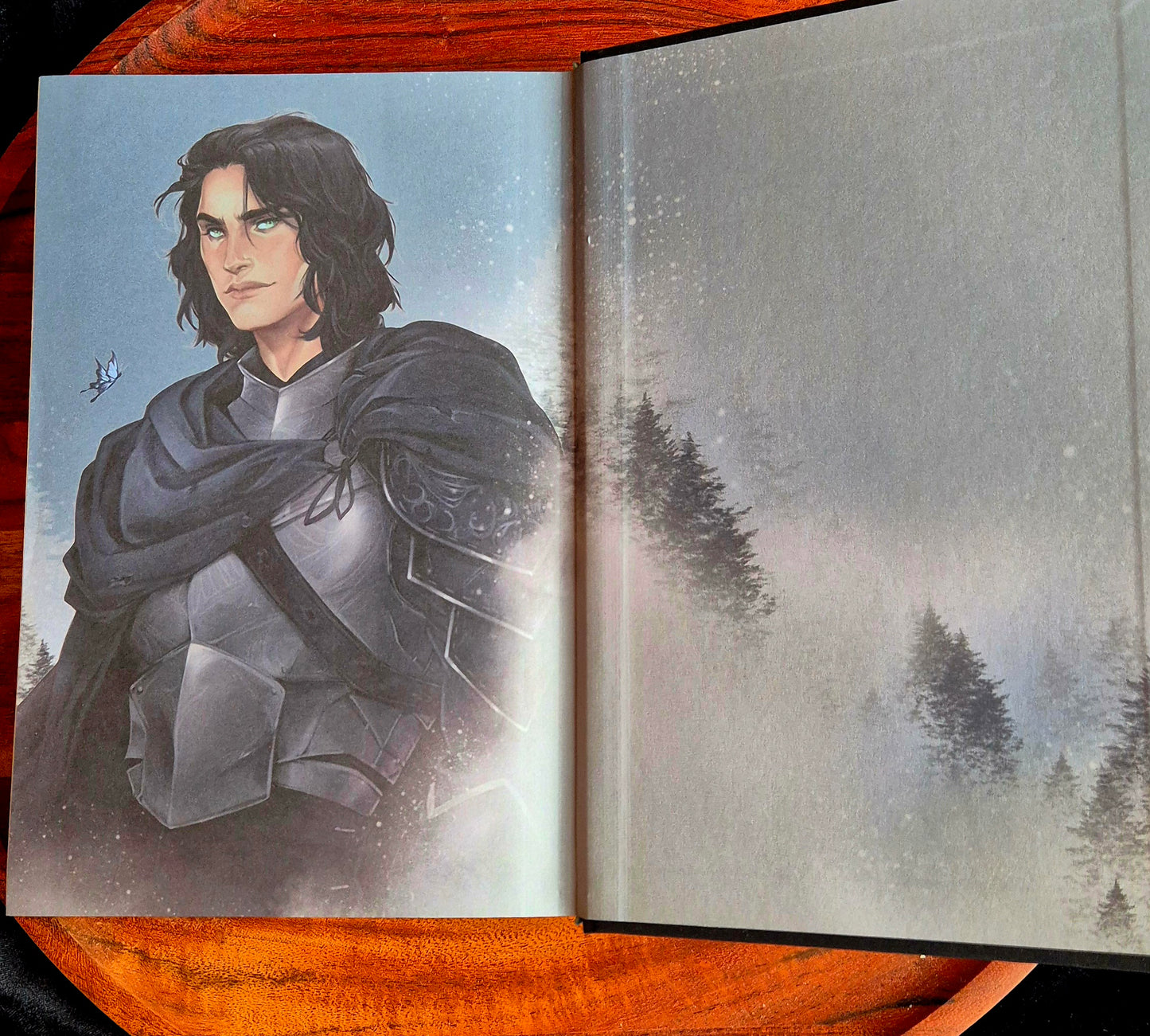 Quicksilver - Deluxe Limited Edition Hardcover