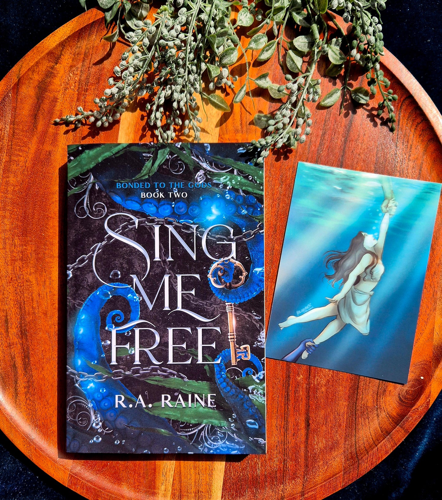 Bonded To The Gods Trilogy - SIGNED