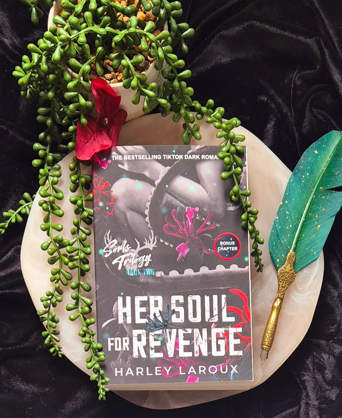 Her Soul For Revenge - Souls Trilogy Book 2