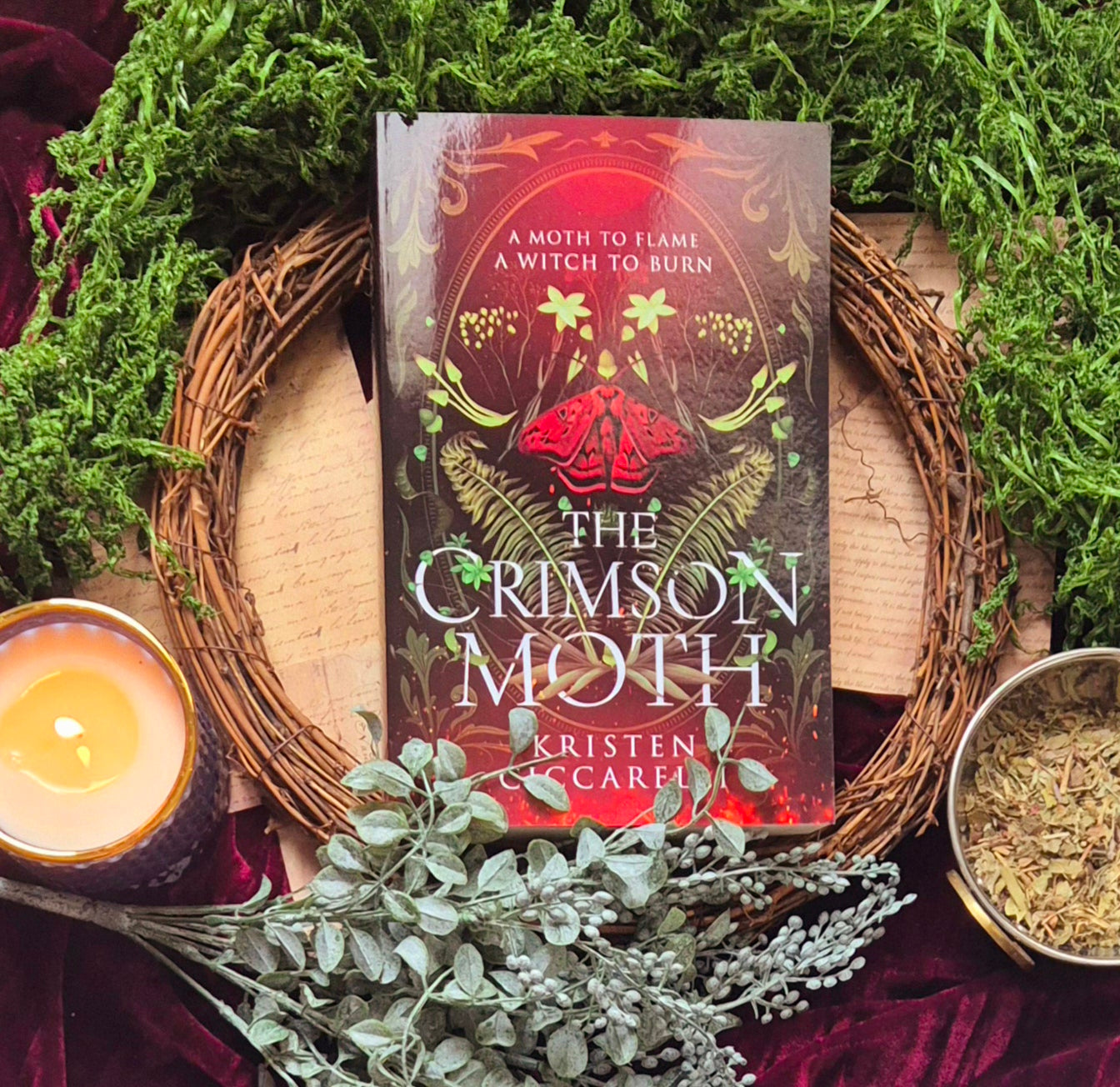 The Crimson Moth - Book 1