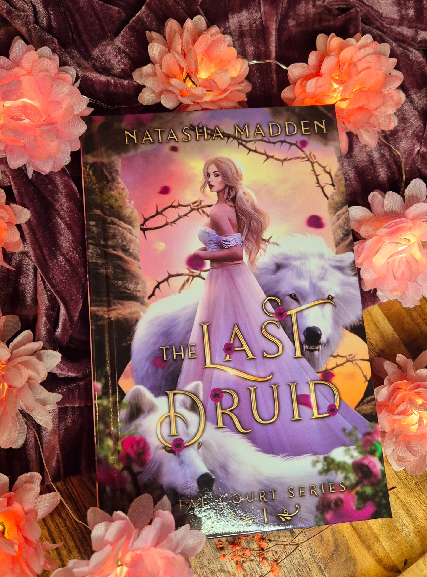 The Last Druid - Fae Court Series Book 1